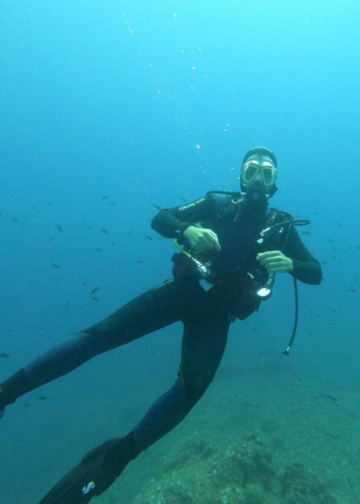 nicholas ricciardello